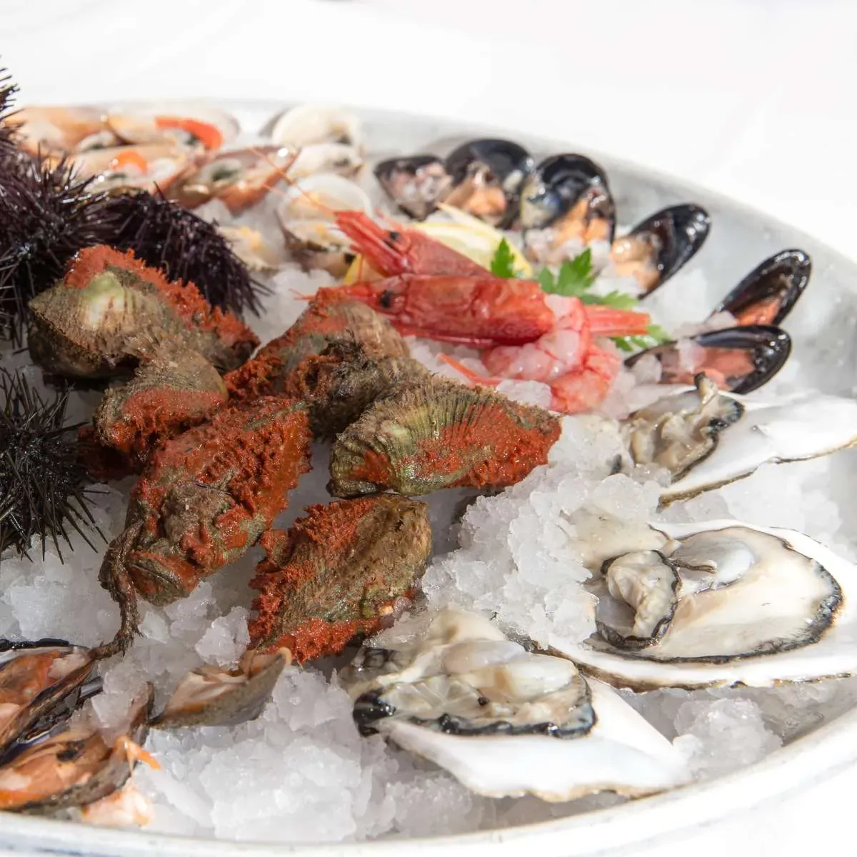Crudo di pesce con ricci, ostriche, cozze e crostacei su ghiaccio